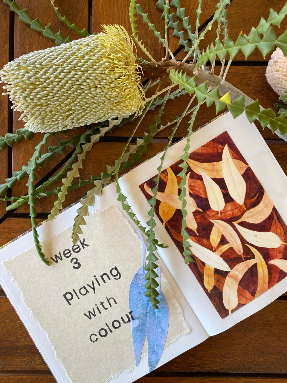 Enjoy this student work from our Botanical Sketchbook Challenge.