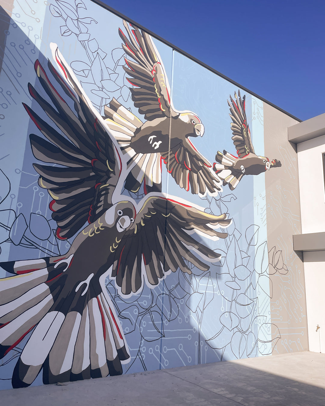 Public art mural by Ruth de Vos featuring black cockatoos