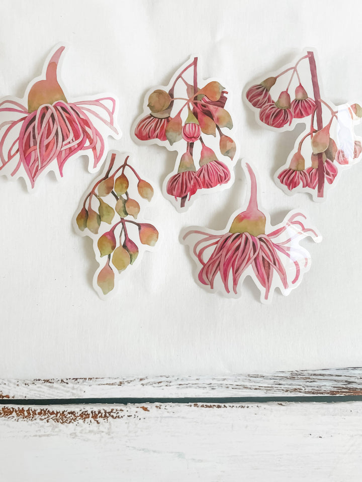 Eucalyptus Stickers (transparent) (pack of 5)