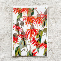 Greeting Card: Gum Blossoms - Ruth de Vos: Art