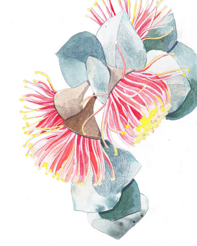 'Macrocarpa 1' Art Print