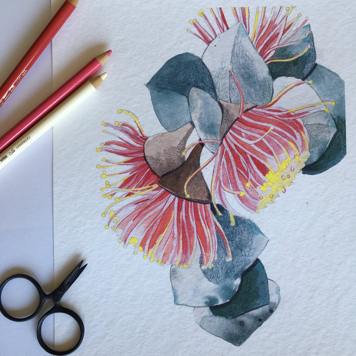 'Macrocarpa 1' Art Print