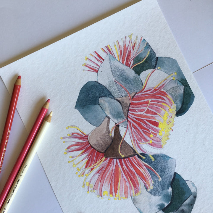 'Macrocarpa 1' Art Print