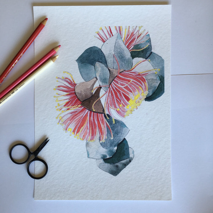 'Macrocarpa 1' Art Print