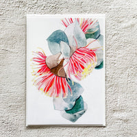 Greeting Card: Macrocarpa 1 - Ruth de Vos: Art